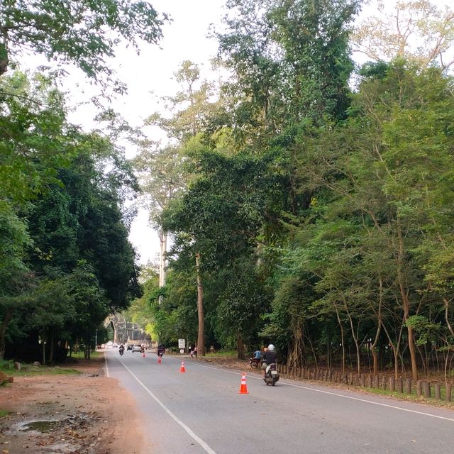 พระอาทิตย์ตกที่ปราสาทพนมบาแคงหน้าหนาว