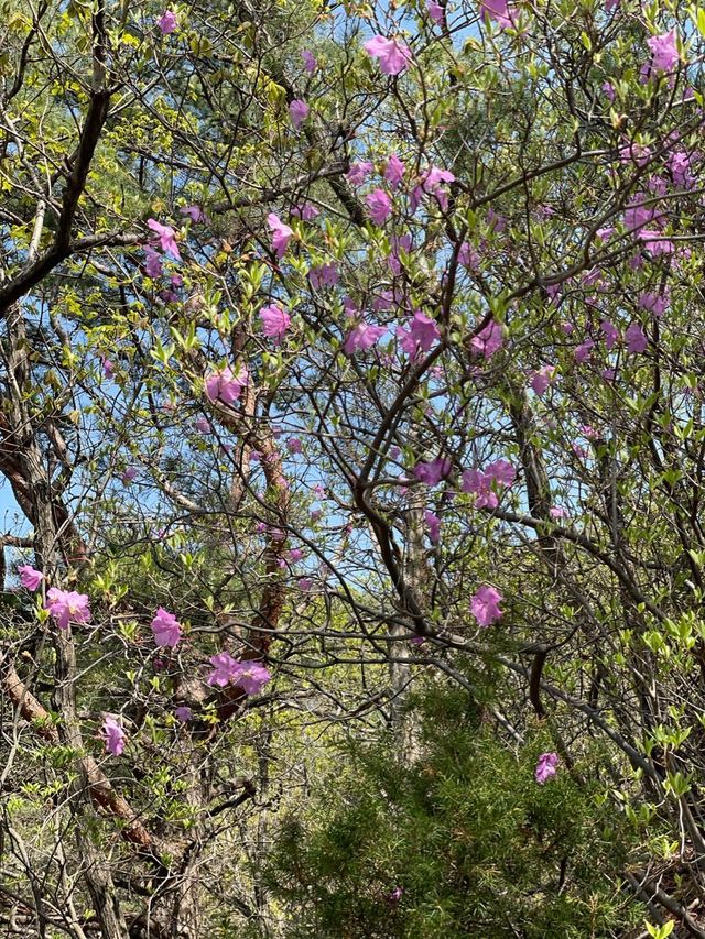 주말에 가볍게 오르기 좋은 월악산 제비봉 ⛰️