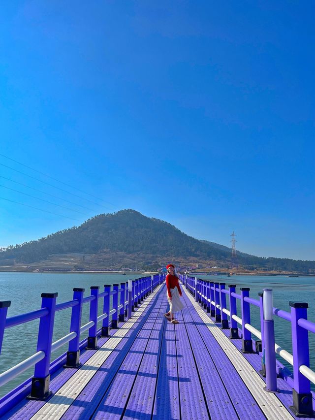 전남 신안 가볼만한곳 🌺