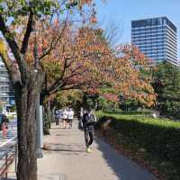 Experience Traditional Culture in Tokyo