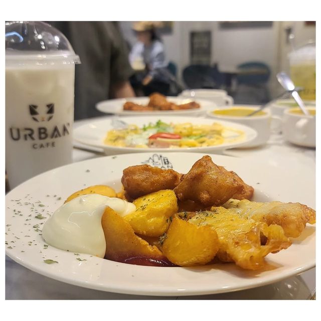 貓奴必到天堂 香港旺角 Urban cafe