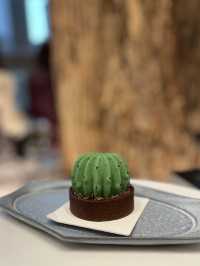 🍃從樹開始的新世界🫚｜ 呀Jer啟德新開既cafe