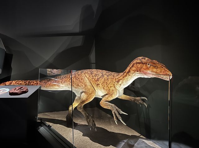 My Ancestors' 🤩🥰 Museum of my vibe🫢😝