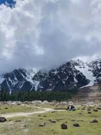 Yamtham Valley & Zero Point, Sikkim | 1 night 2 days