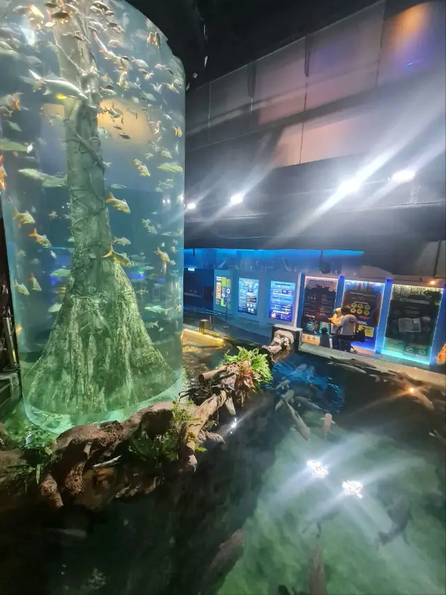 AQUARIA AT KLCC!