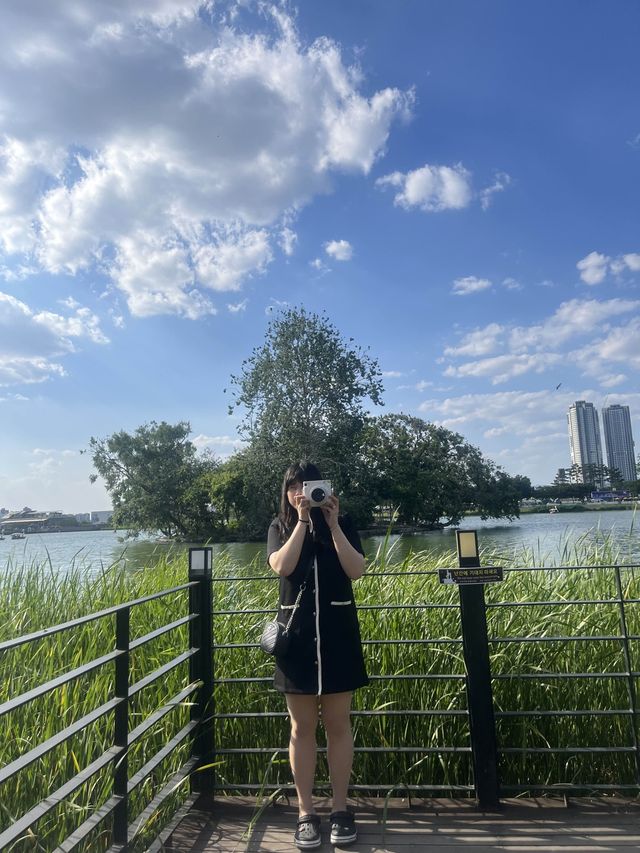 대구 수성못에서 오리배 타면서 피크닉 기분 느끼기💖