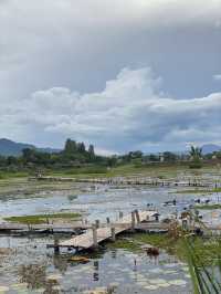 หนองสมอ(ทาม)