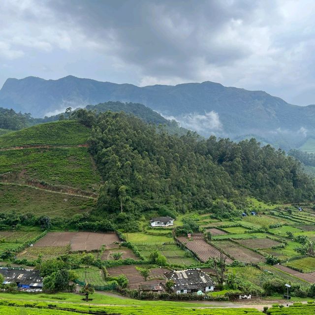 Munnar - Switzerland of India 🇮🇳 
