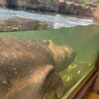 【臺北市立動物園】：樂學給合♡親子探索自然的夢幻之旅