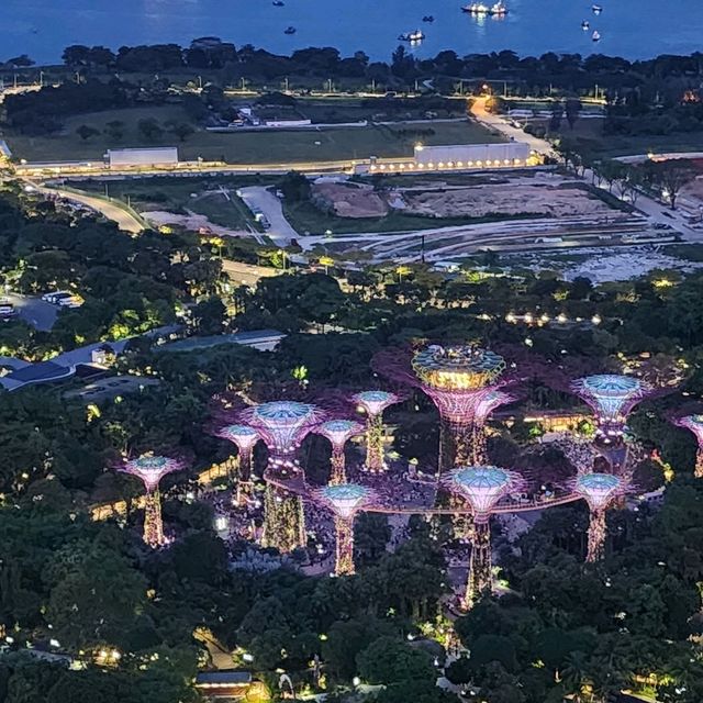 Solo Traveller at Singapore