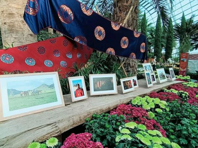 The Chrysanthemum Charms at Gardens 