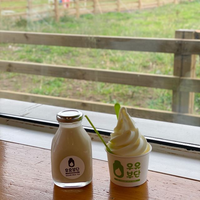 셀프스냅 찍기 좋은 성이시돌목장🐄