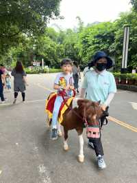 深圳親子遊 逛超大動物園