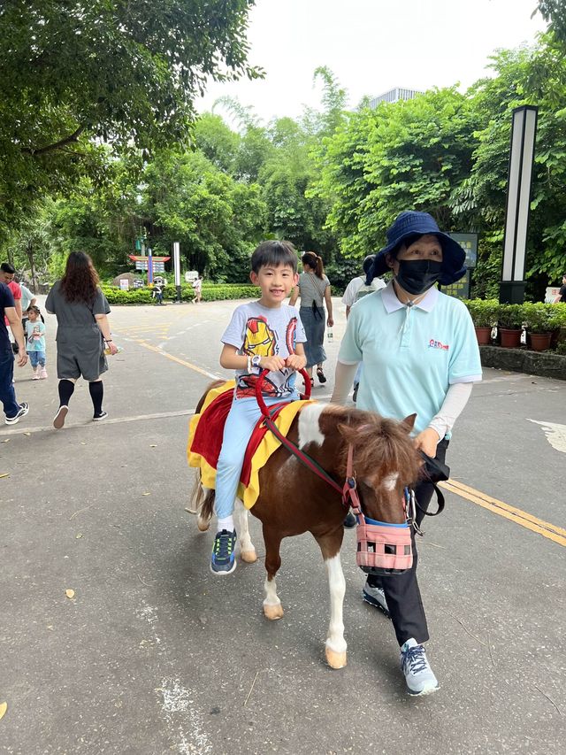 深圳親子遊 逛超大動物園