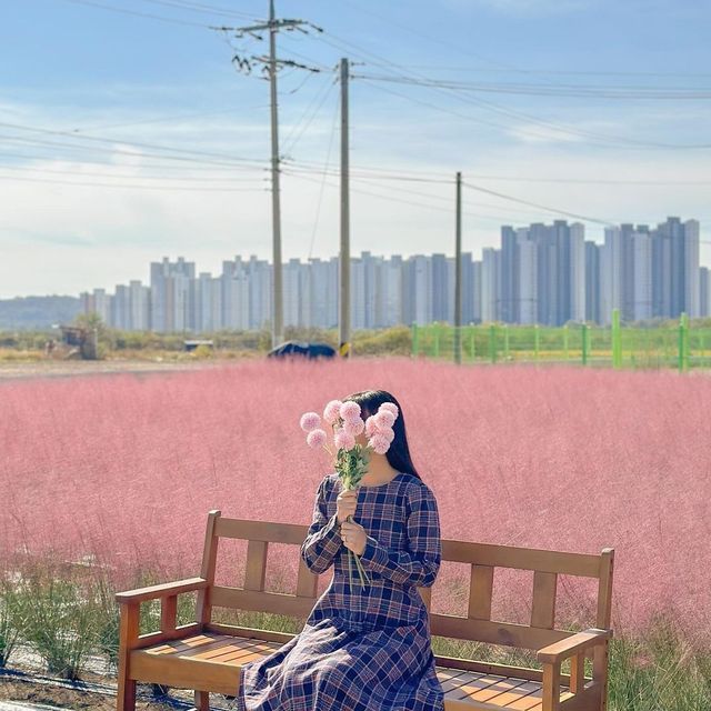 핑크빛 가을로 가득 물든 카페 토성마을🩷