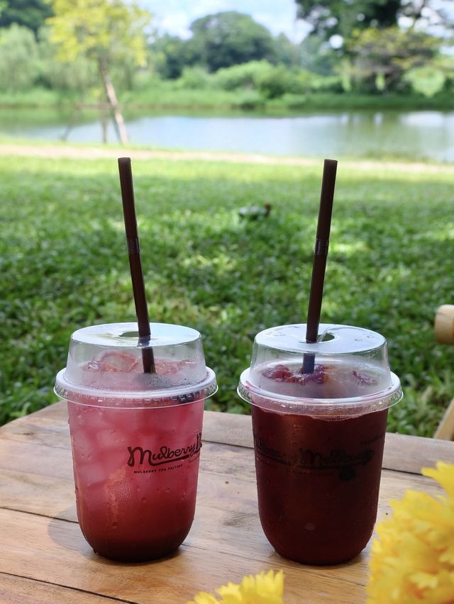 Mulberry Mellow  กาญจนบุรี