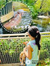 深圳動物園攻略