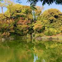🍁 일본 중세시대의 아름다움과 단풍으로 물들여진 교토 센토고쇼에서 가을놀이해보세요!
