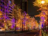 เทศกาลไฟ OSAKA
