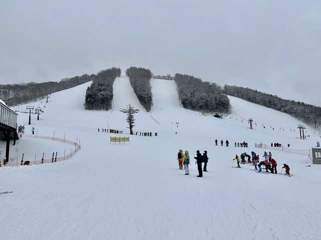 長野駅から45分でパウダースノーが楽しめる戸隠スキー場をご紹介