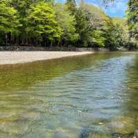 【三重】一度は訪れたい伊勢神宮内宮