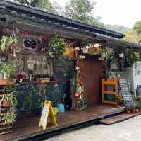（桃園/復興）免搭帳⛺️的野溪露營-八度野溪露營區