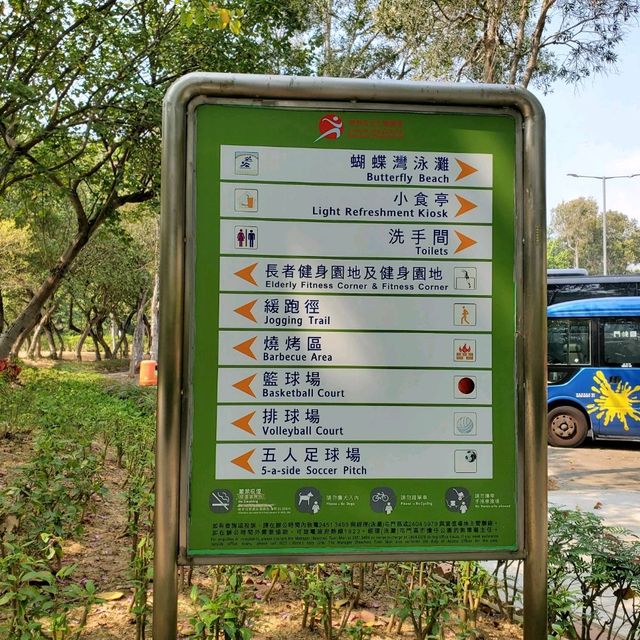 蝴蝶在飛舞