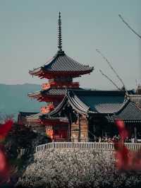Pagodas in the temples of Japan 🇯🇵