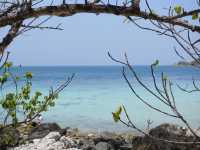 เกาะล้าน - koh larn island มาเถอะสวยจริง