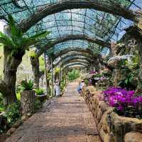 Yalong Bay Rainforest Paradise - take the bus up, but walk down to lose the crowds and enjoy the nature!