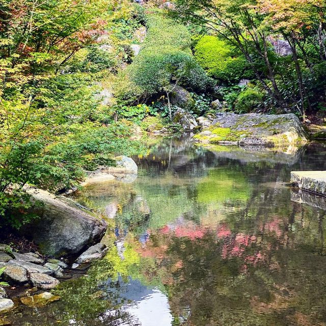 自然が作り出す美しい森