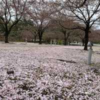 新瀉白山公園 白山神社