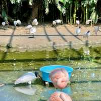 熱川バナナワニ園の動物たち