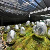 Engage your senses with this interactive arts
