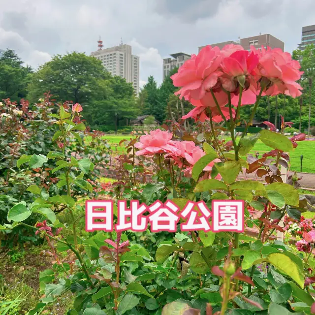 日比谷公園