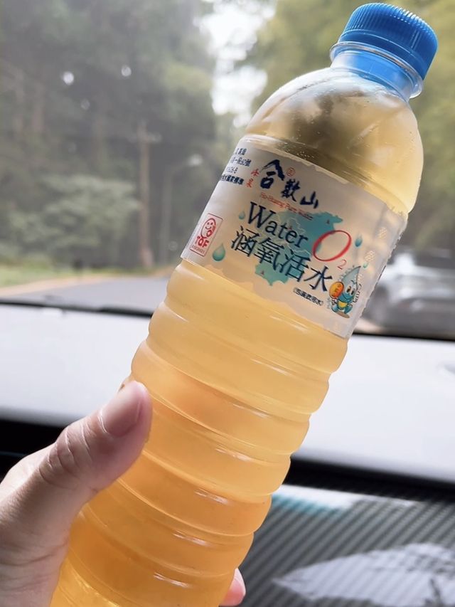 從凡間到仙境的路，搭乘接駁車上忘憂森林❤️