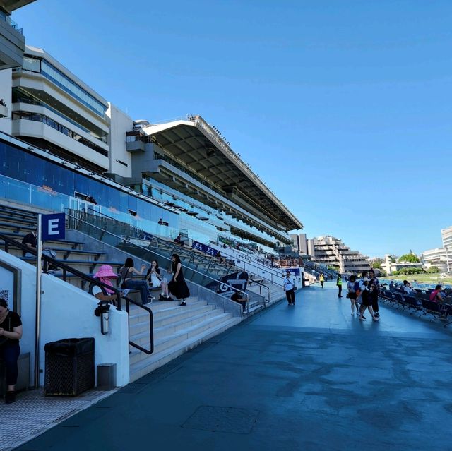 香港必黎景點-沙田馬場一日體驗游