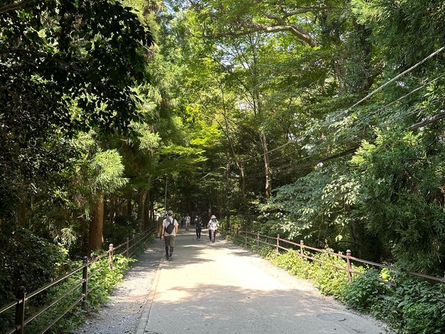 東京近郊隱世景點解鎖！高尾山～