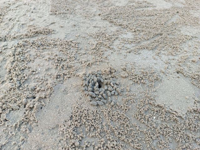 หาดสวนสนประดิพัทธ์