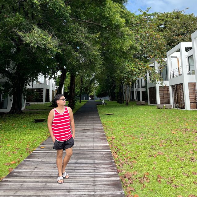 THE LIBRARY Samui