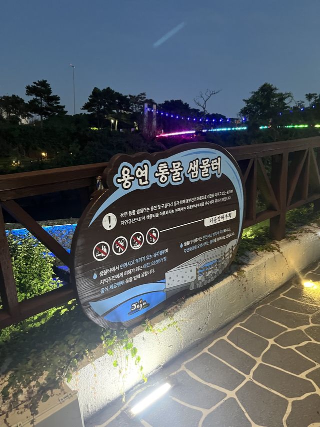 제주도 공항근처 가볼만한곳 용두암 출렁다리