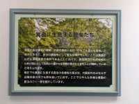 【大阪駅スグ】箕面ハイキングも楽しめる昆虫館