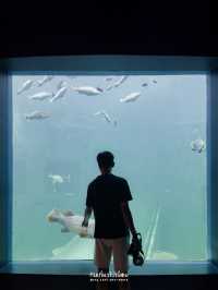 🐠🌴 เที่ยว 1 Day Trip ที่บางแสนแบบชิลๆ