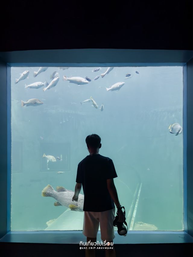 🐠🌴 เที่ยว 1 Day Trip ที่บางแสนแบบชิลๆ