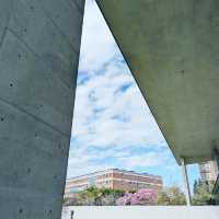 亞洲大學附屬現代美術館