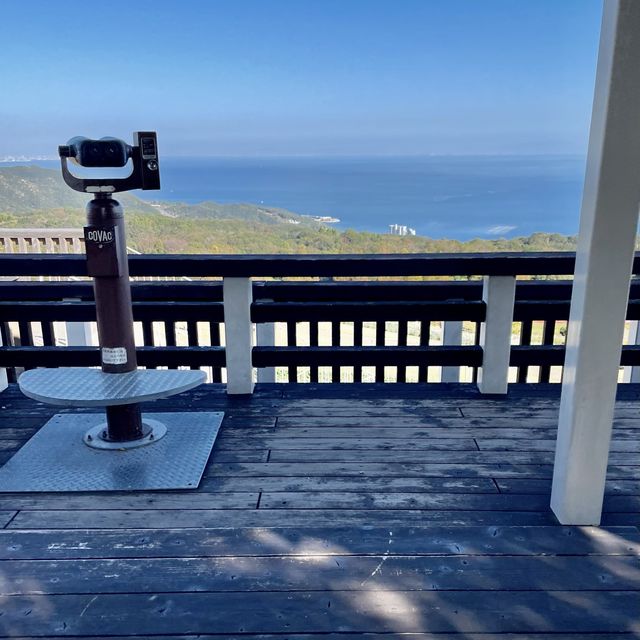 【淡路島】絶景も淡路島土産も堪能できる花さじきテラス館