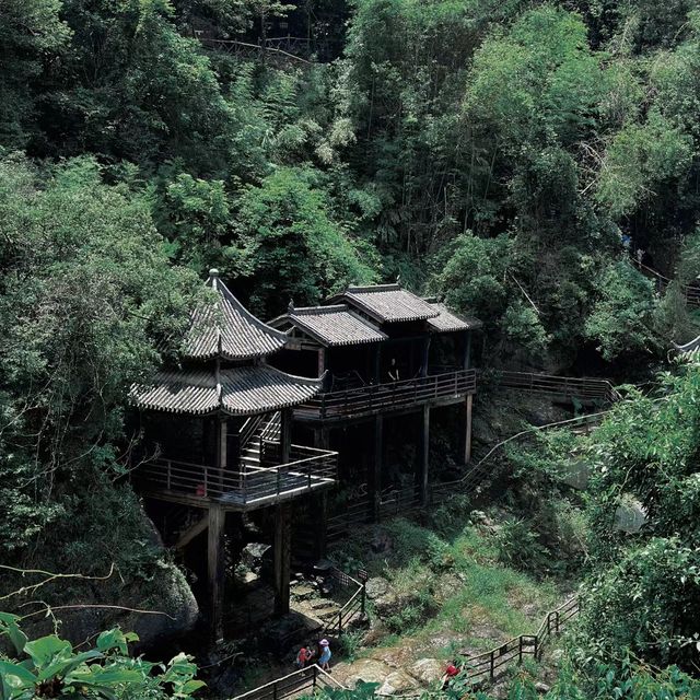 🌲🏞️ 白神山地～沐浴在溪流瀑布的清涼中！💦🌄🚶
