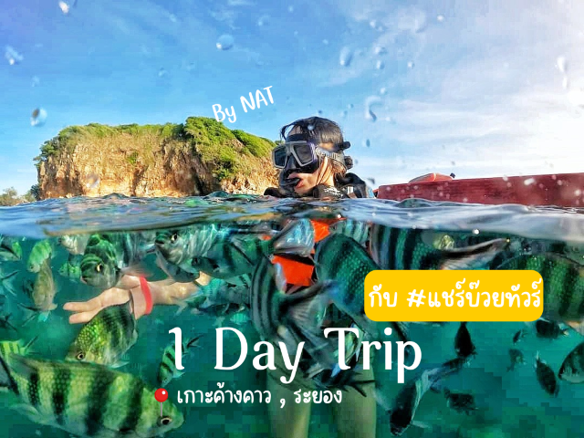 ทริปดำน้ำ แชร์บ๊วยทัวร์ #เกาะเสม็ด