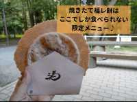 北海道神宮散策で自然を満喫♪