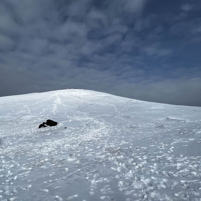 초보자도 오르기 쉬운, 한라산 영실코스☃️ 겨울왕국!